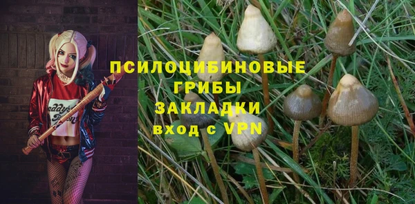spice Абаза