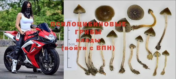 дурь Абдулино