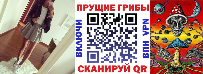 Галлюциногенные грибы прущие грибы где купить наркотик Сусуман